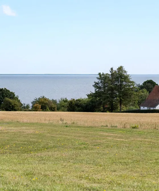 Boesvang - udsigt over marker og hav