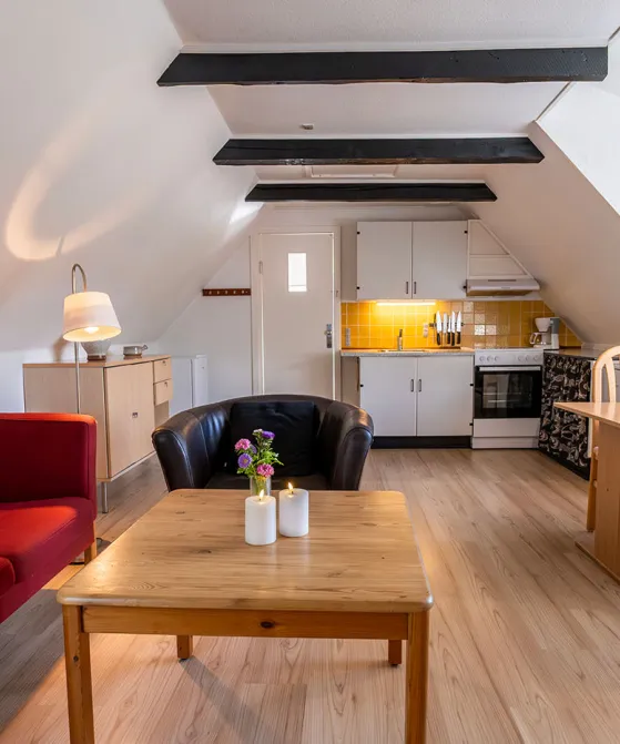 Køkken-alrum med spiseplads, køkken og sofa i Lille Skovholt
