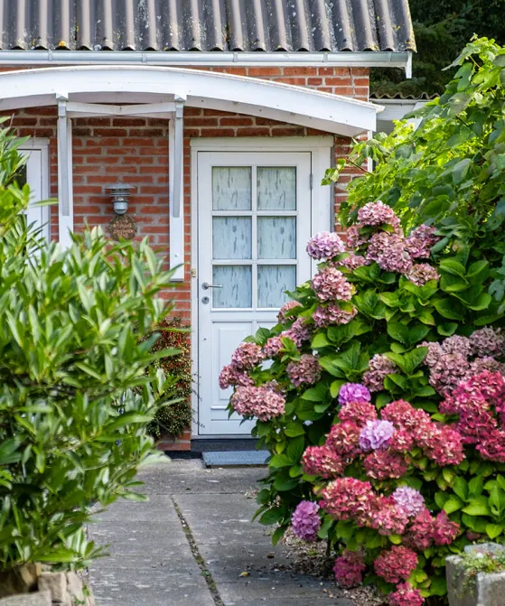 Udendørsarealerne ved Lille Skovholt er idyllisk og farverigt