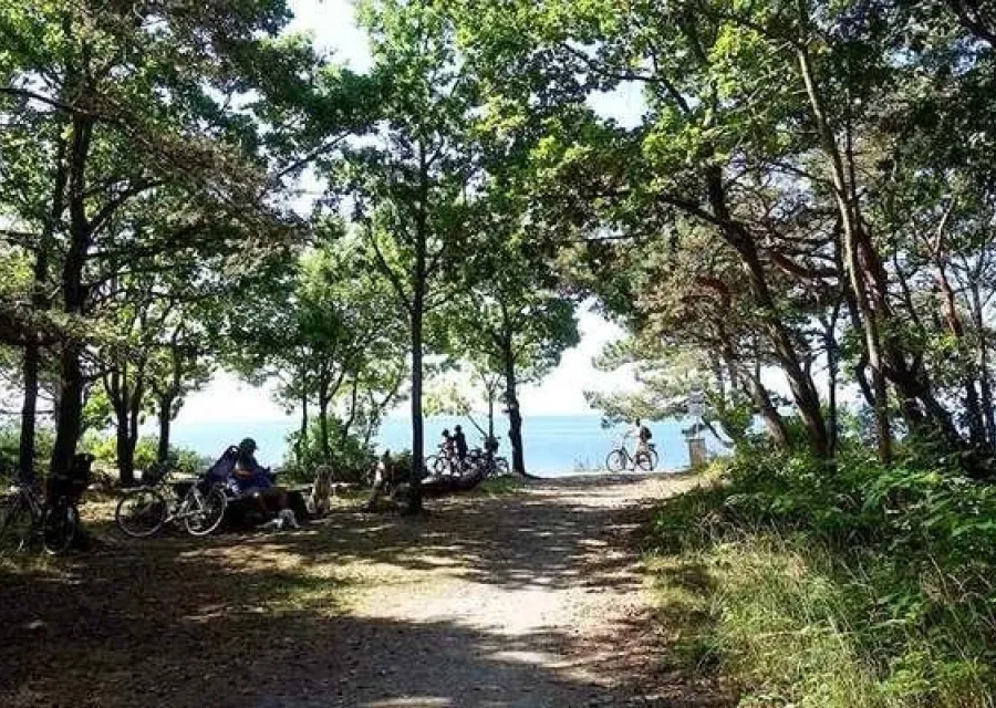 Roseløkken