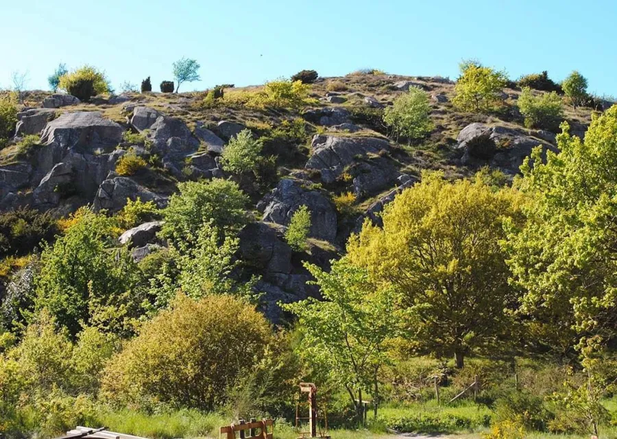 Sandvig Søpark