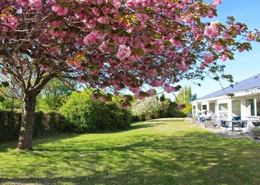 Årsdale Søpark