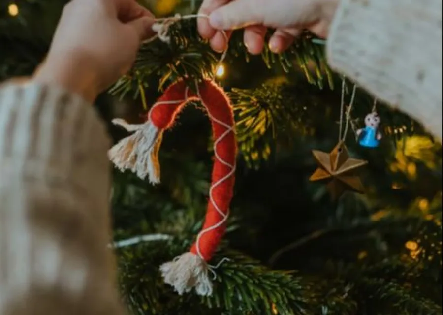 Juletræ og pynt