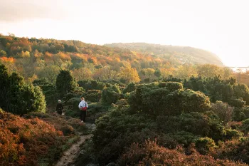 Tag til Bornholm i efteråret og oplev det smukke, gyldne landskab