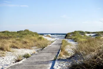 Gå en tur ned til Dueodde Strand