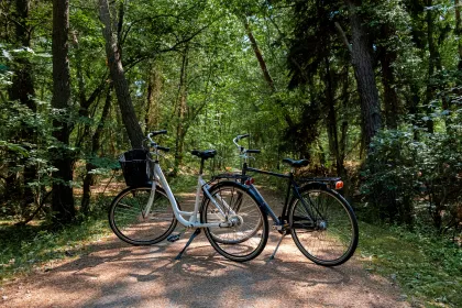 Du kan leje cykler hos Bornholms Cykeludlejning i Rønne og udforske øen i dit helt eget tempo