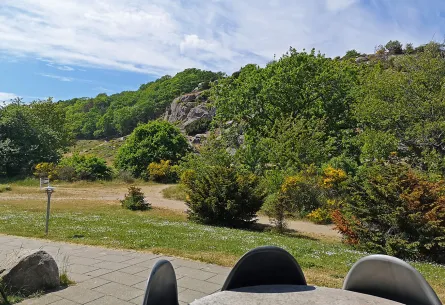 Udsigt til Hammerknuden fra terrassen i Sandvig Søpark