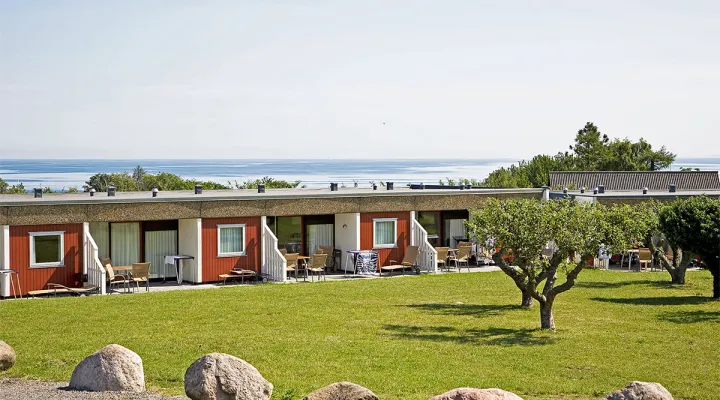 Æblehaven med æbletræer og havudsigt