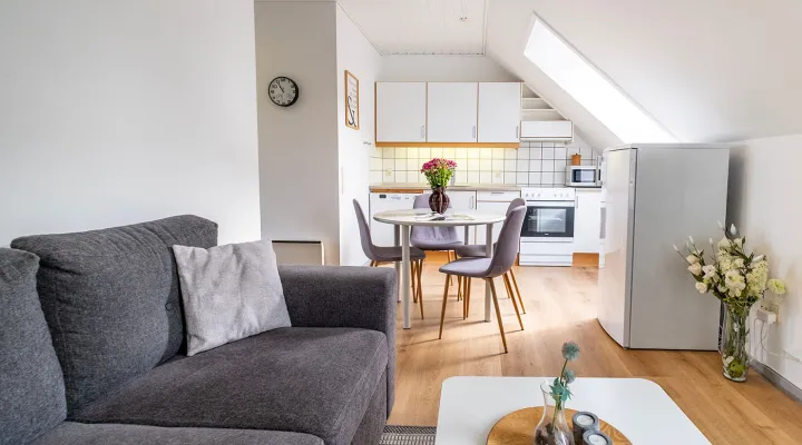 Kombineret opholds- og soverum med køkken og spiseplads i Købmandsgården nr. 5