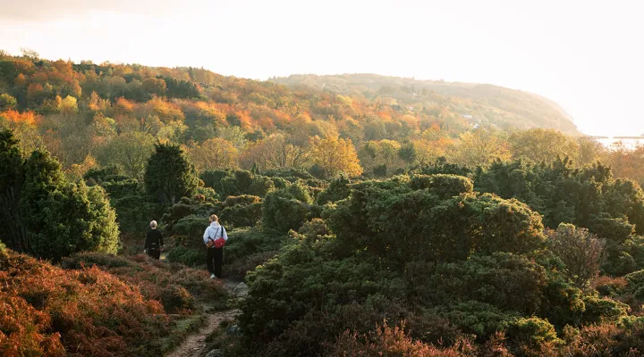 Tag til Bornholm i efteråret og oplev det smukke, gyldne landskab