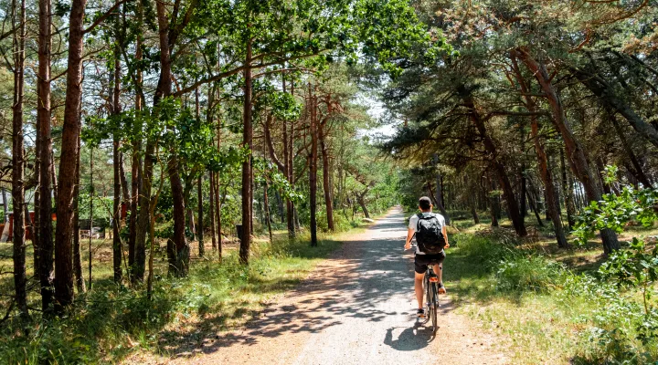 En cykelferie på Bornholm tager dig igennem smukke skove og langs den varierede kyststrækning