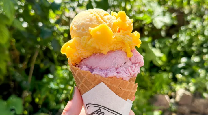 Stor vaffelis med to lækre kugler