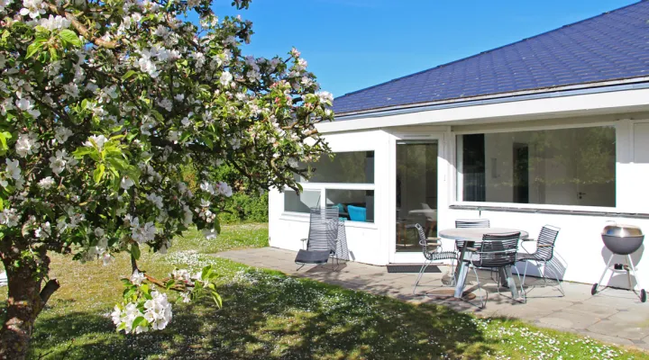 Æbletræ foran Årsdal Søpark lejlighed