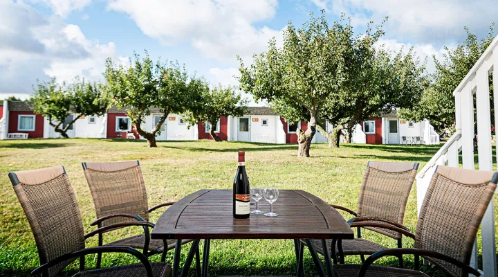 Æblehaven - Nyd et glas vin på terrassen
