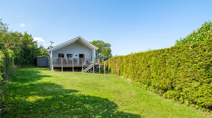 Bornhamas har en stor, grøn have