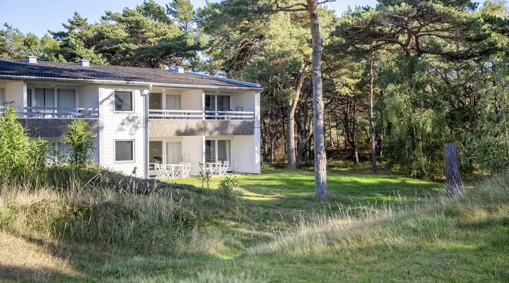 Skønne, grønne omgivelser ved strand og skov på Dueodde Strand Ferielejligheder