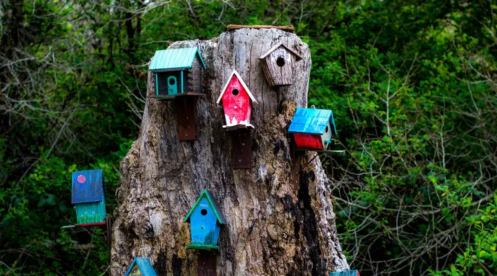 Cookie og privatlivspolitik