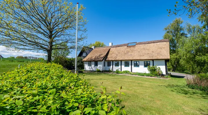 Dejlig grøn have ved sommerhus Gammelgård