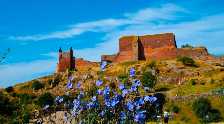Blomster foran Hammershus