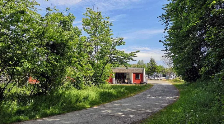 Hasle Feriepark ligger i et dejligt grønt område