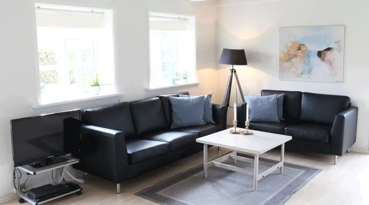 Møllehuset - Stue med TV