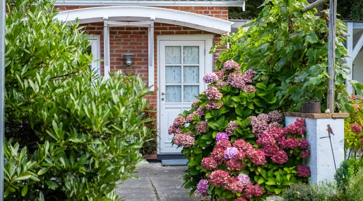 Udendørsarealerne ved Lille Skovholt er idyllisk og farverigt