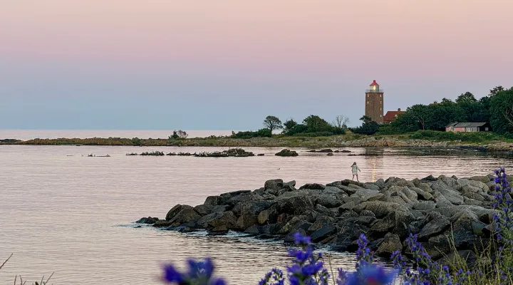 Smuk sommeraften i Svaneke