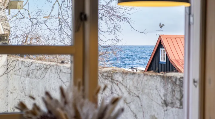 Havkig fra køkkenet i Mosehuset