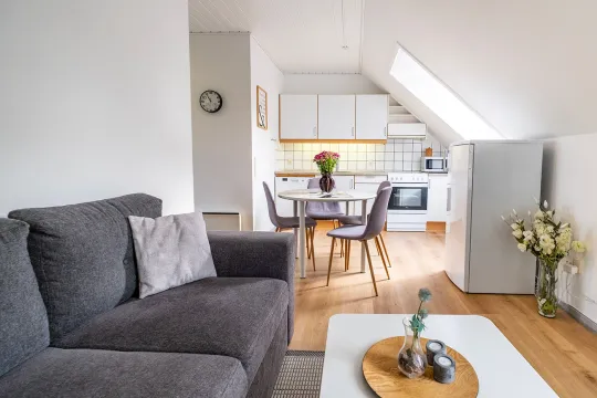 Kombineret opholds- og soverum med køkken og spiseplads i Købmandsgården nr. 5