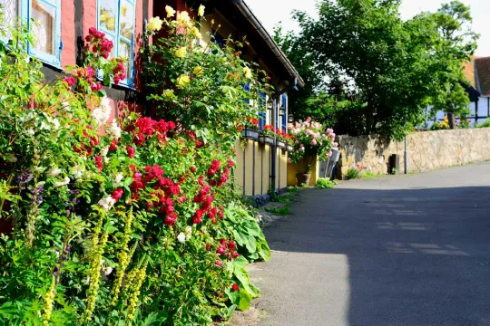 Allinge gamle bydel