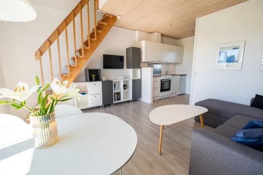 Opholdsrum med spisebord, sovesofa og TV i Boesvang ferielejlighed nr. 5