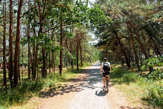 En cykelferie på Bornholm tager dig igennem smukke skove og langs den varierede kyststrækning