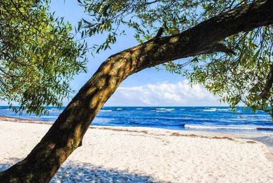 Melsted Strand