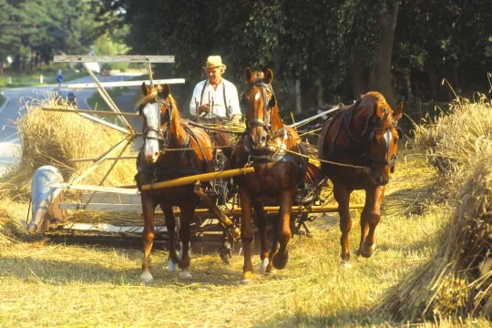 Oplevet livet i Gudhjem i 1950'erne hos Melstedgård