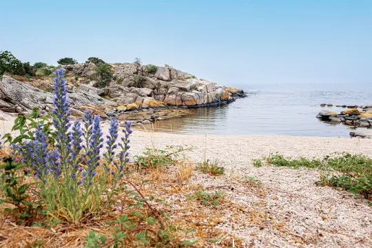 Høl Strand i Listed