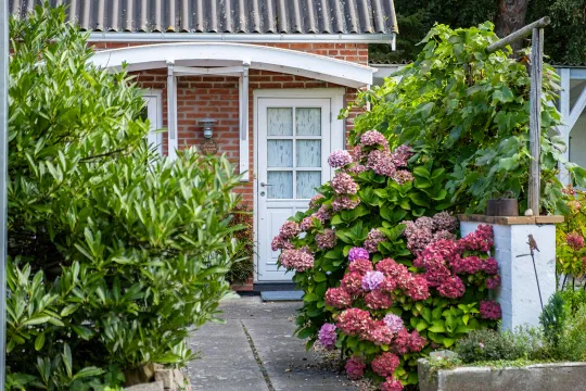 Udendørsarealerne ved Lille Skovholt er idyllisk og farverigt