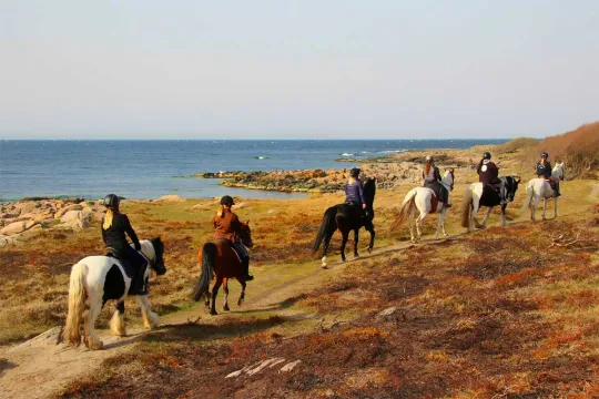 Prøv en ridetur langs kysten