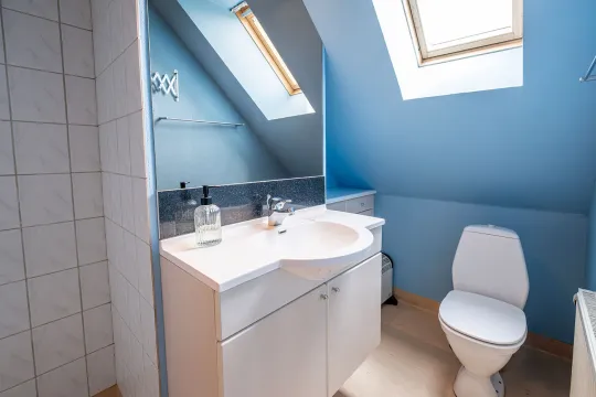Badeværelse med wc, brus og håndvask på 1. sal i Villa Bølshavn