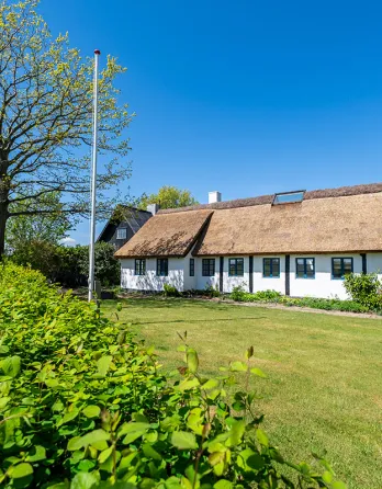 Dejlig grøn have ved sommerhus Gammelgård